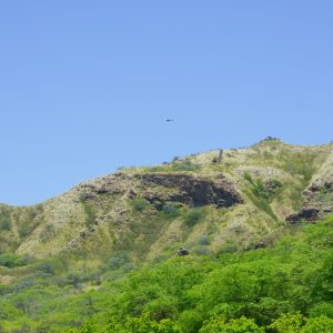 Diamond Head