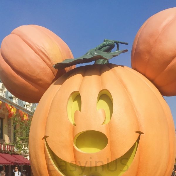 Disneyland 2