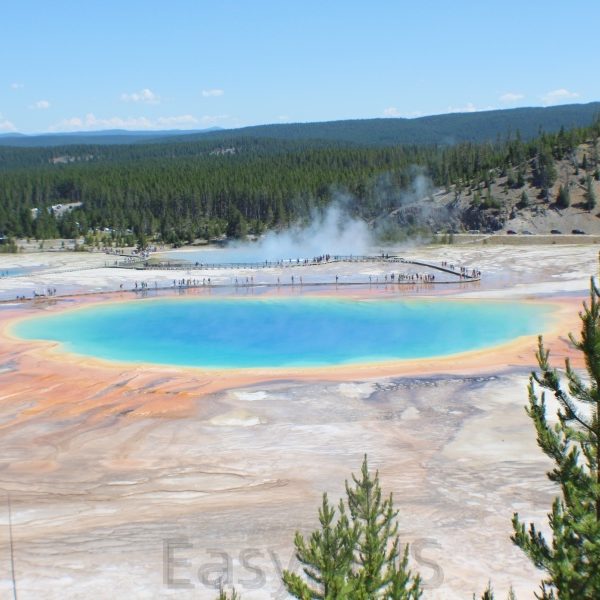 Yellowstone 17