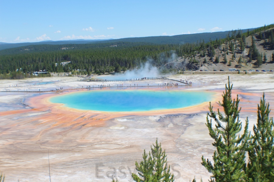 Yellowstone 17