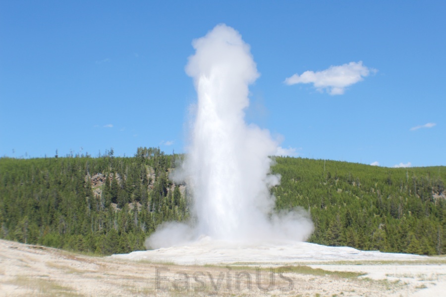 Yellowstone 16