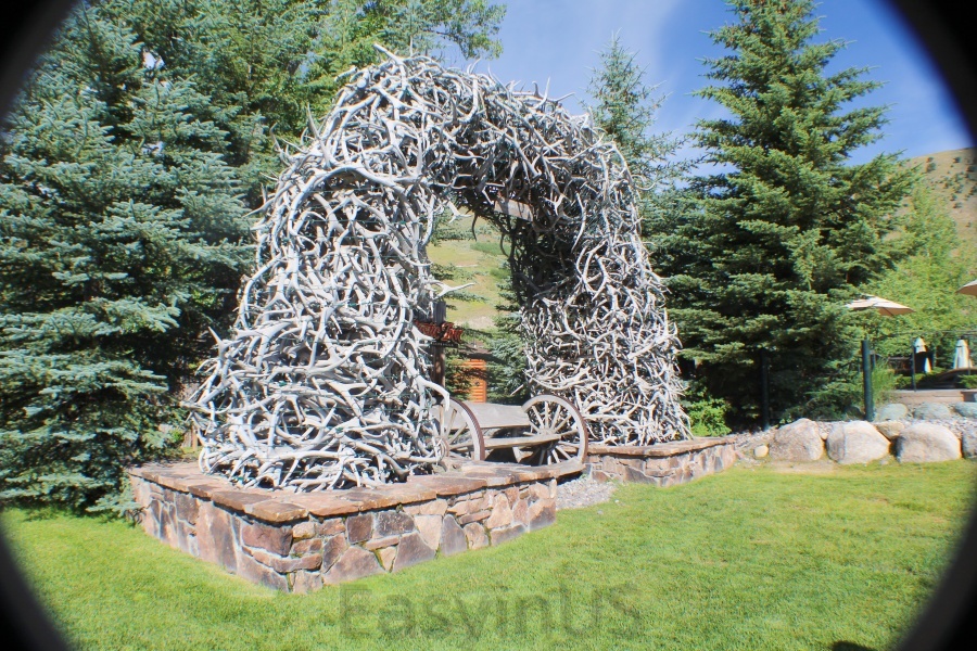 Jackson Hole