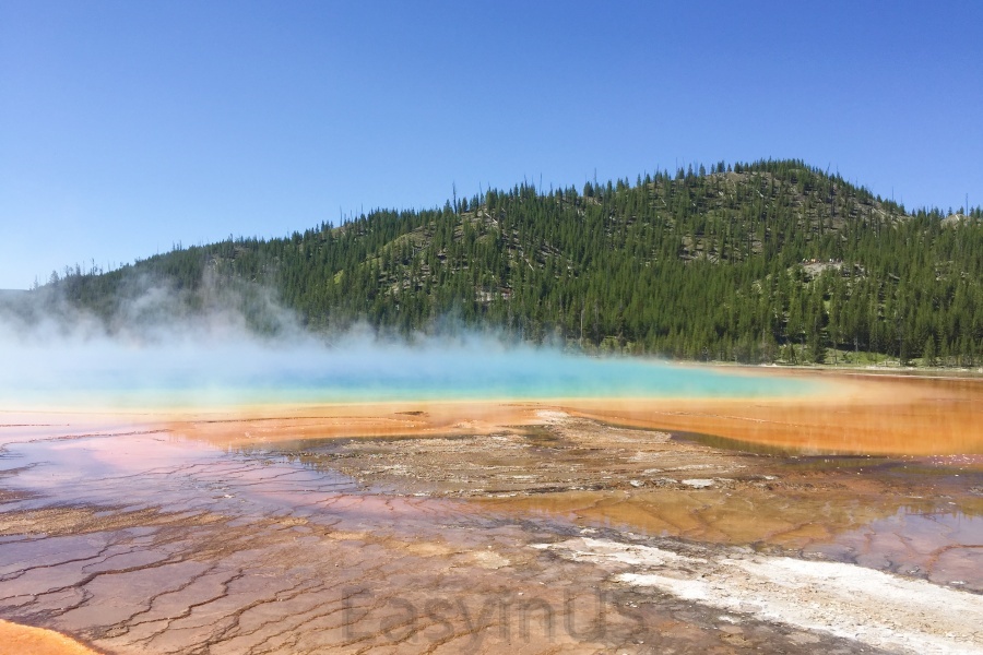 Yellowstone 13