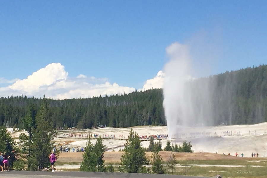 Yellowstone 12