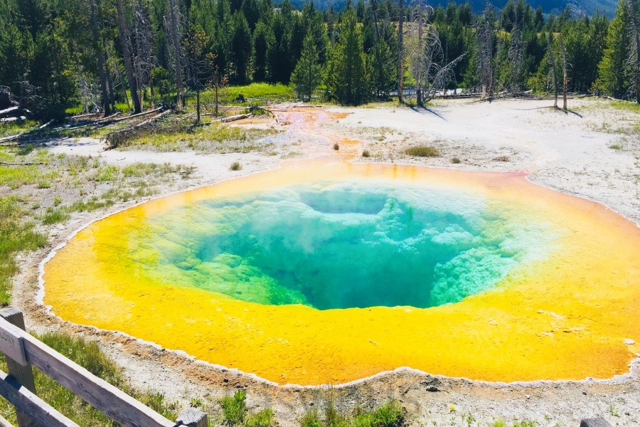 Yellowstone 11