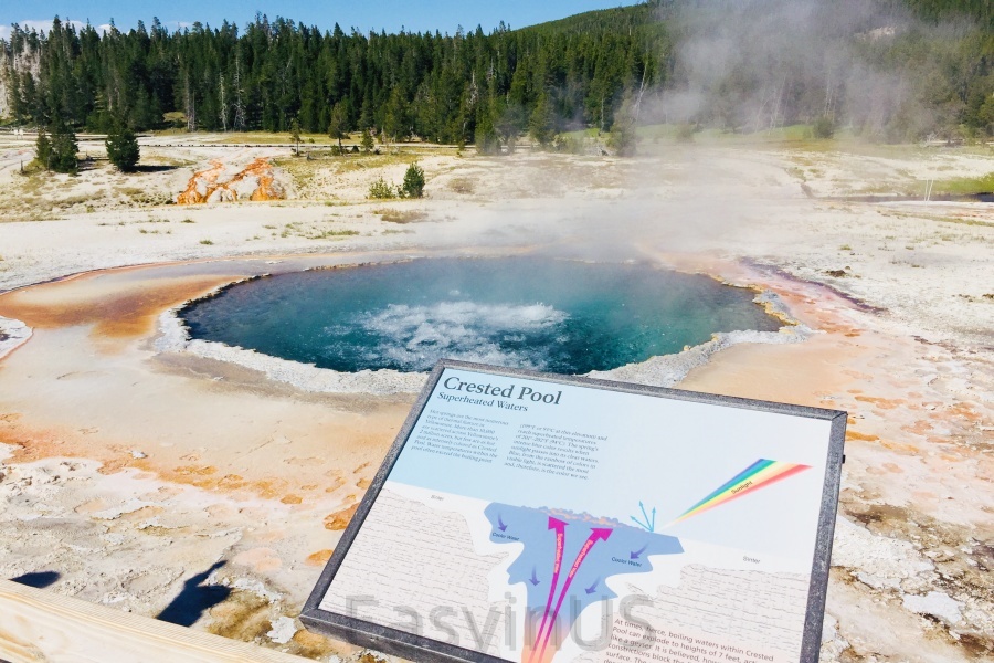 Yellowstone 10