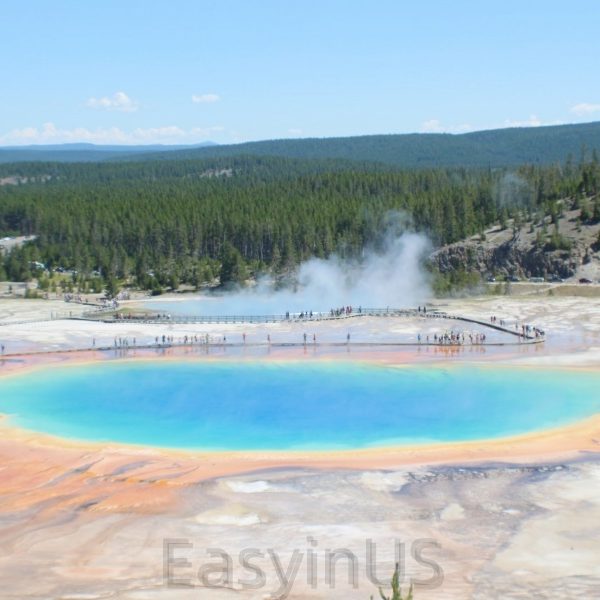 Yellowstone 8