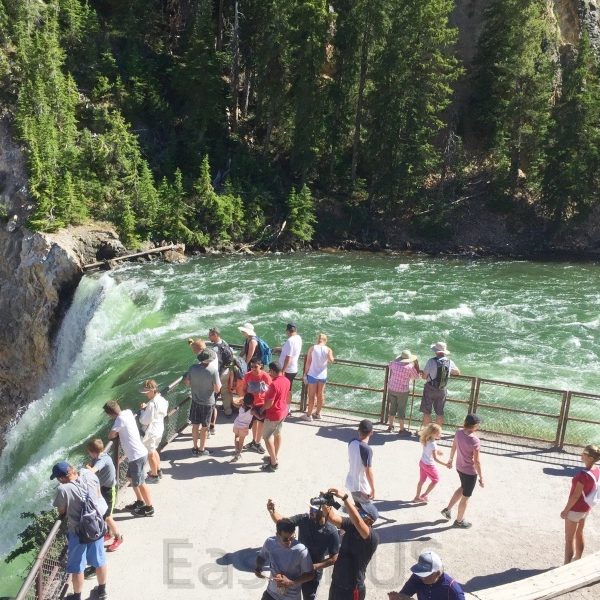 Yellowstone 7