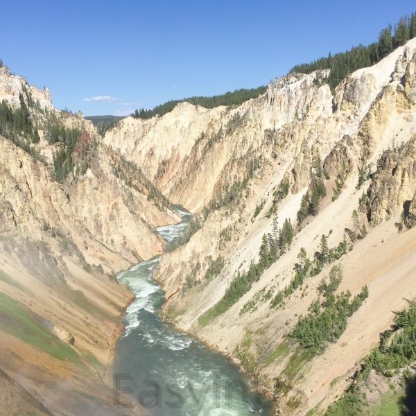 Yellowstone 6