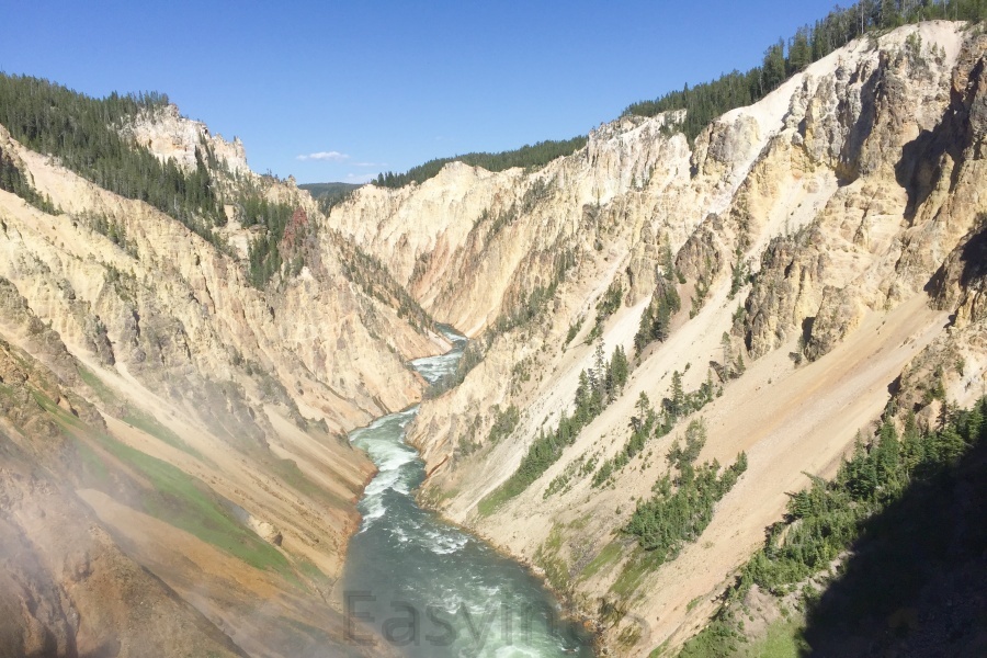 Yellowstone 6