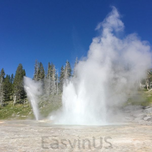 Yellowstone 4