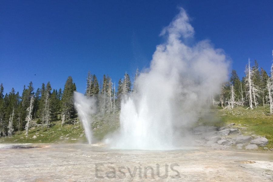 Yellowstone 4