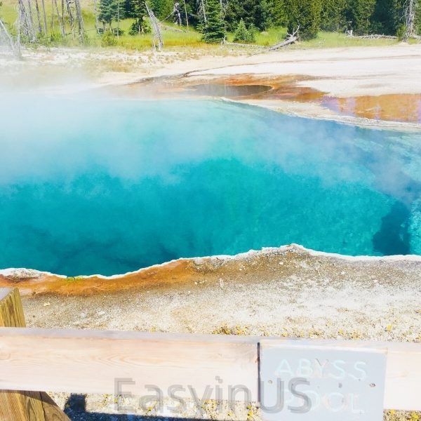 Yellowstone 3