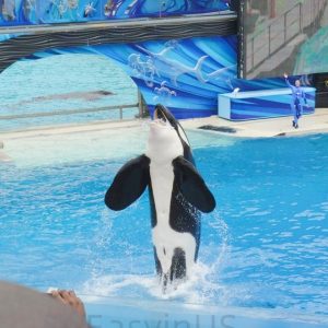 Seaworld San Diego