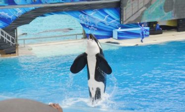 Seaworld San Diego