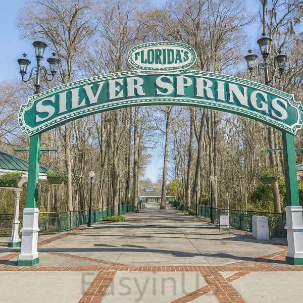 Silver Springs State Park 1