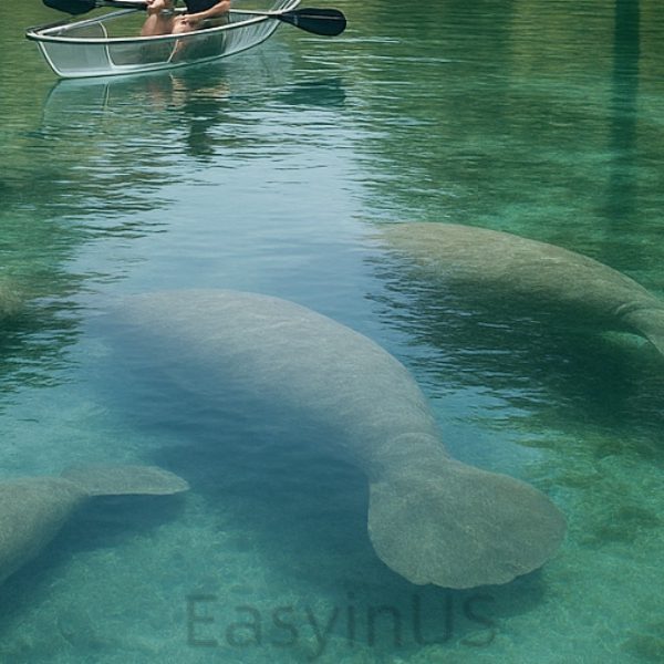 Silver Springs State Park 3