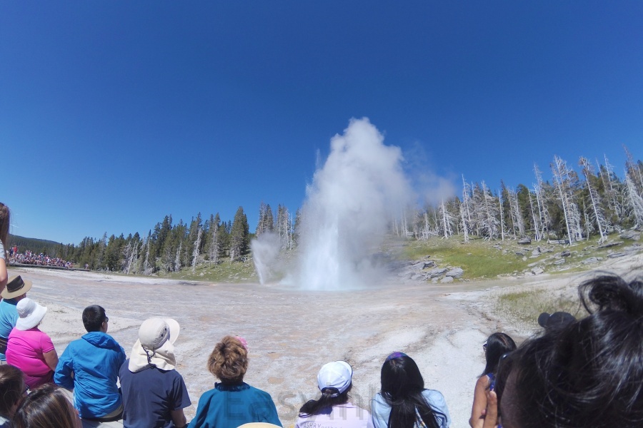 Yellowstone 1