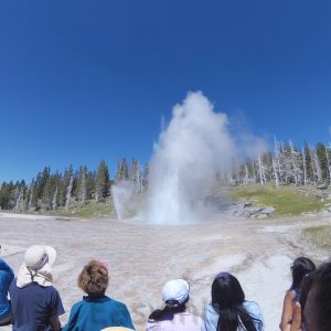 Yellowstone 1