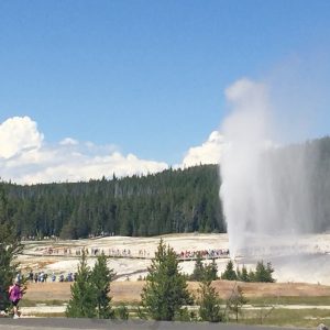 Yellowstone 12