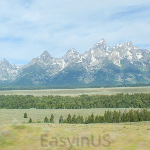 Yellowstone 15