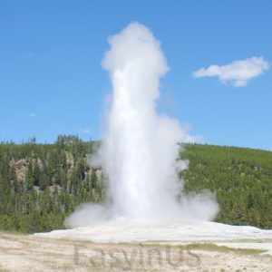 Yellowstone 16