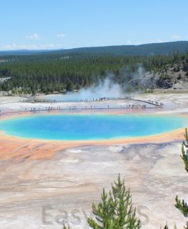Yellowstone