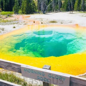 Yellowstone 2