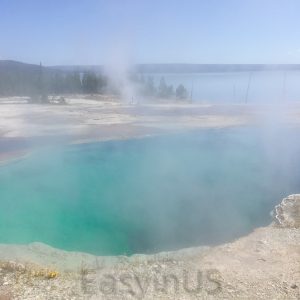 Yellowstone 5