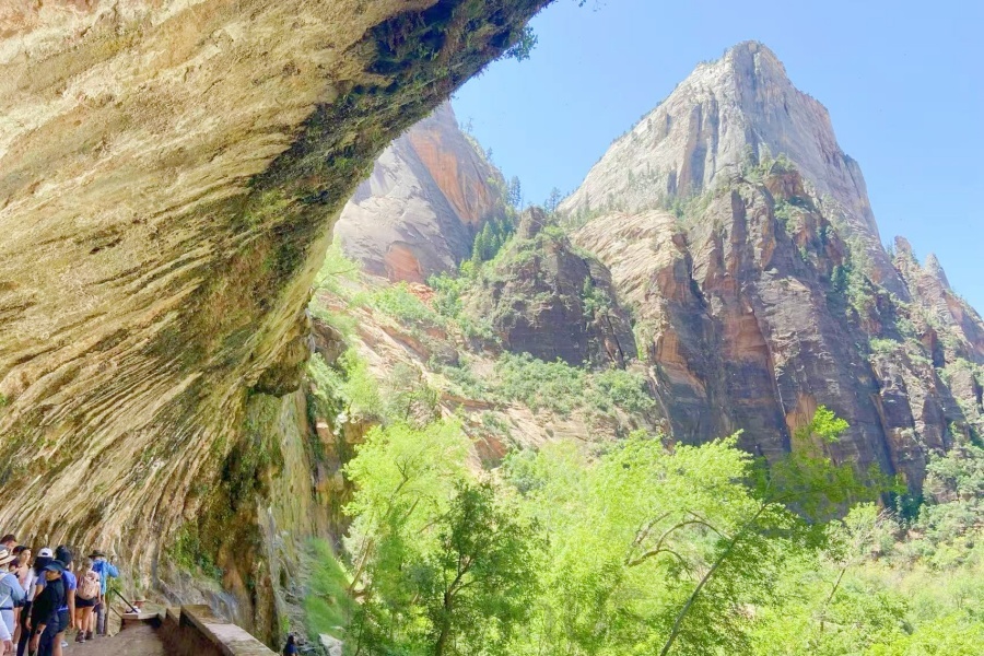 Zion National Park 2