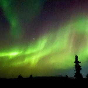 Alaska Aurora 1