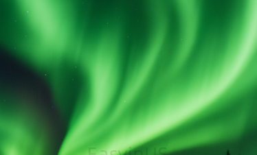 Whitehorse 1