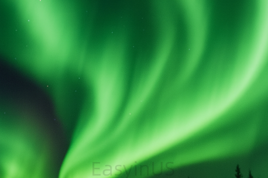 Whitehorse 1