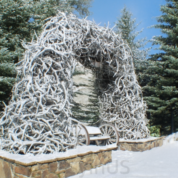 Winter Jackson Hole