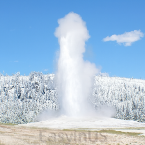 Winter Yellowstone-1