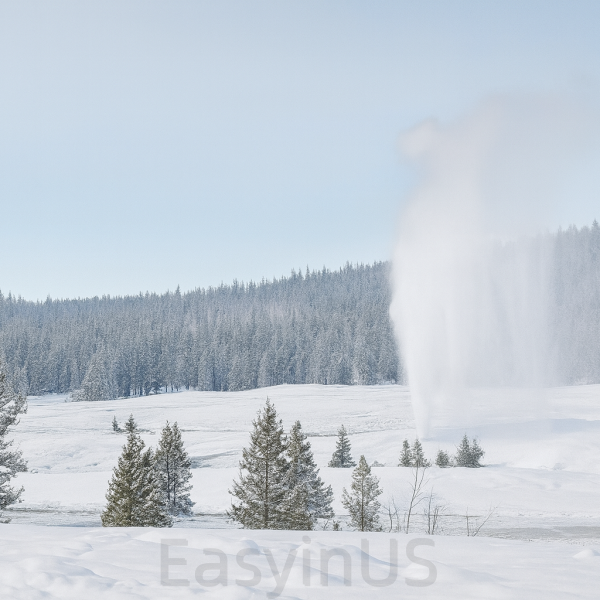 Winter Yellowstone-2