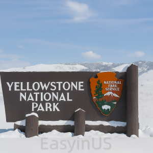 Winter Yellowstone